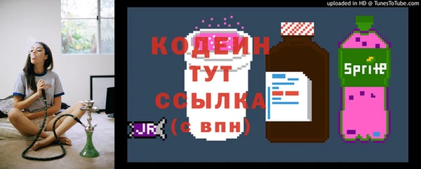 прущий лед Арсеньев