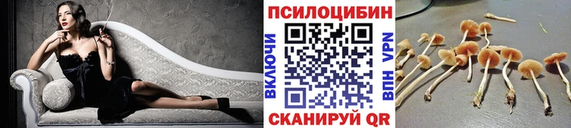 Псилоцибиновые грибы GOLDEN TEACHER  Павлово 